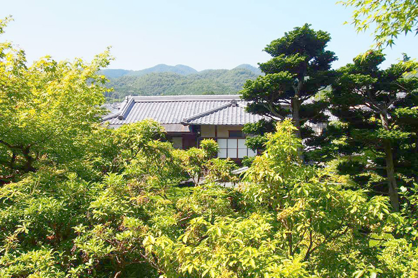 庭園から建物を眺める。