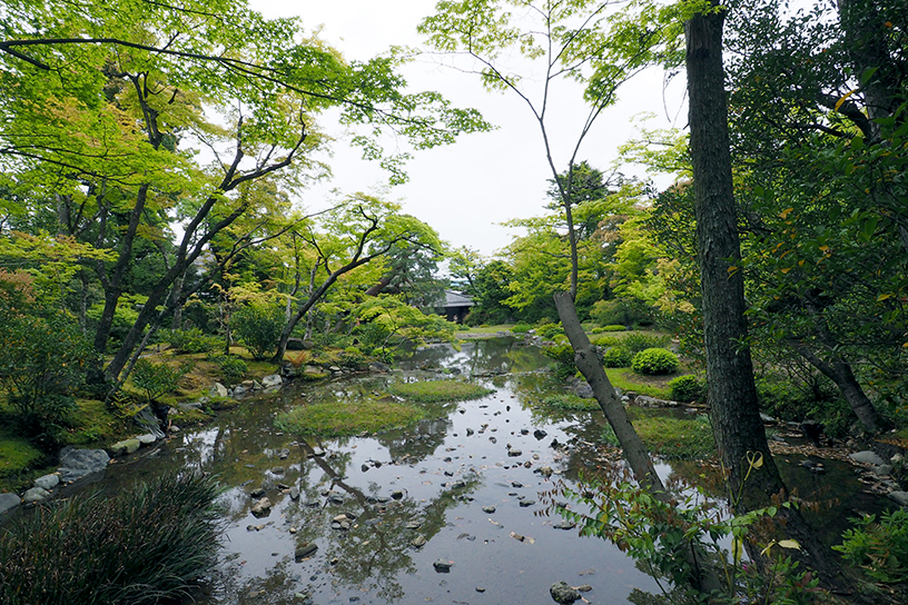 高低差がある庭園で、眺める場所によって多彩な風景が楽しめるのも魅力です。
