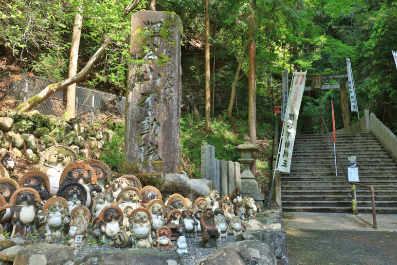 初夏に訪れたい！ 知る人ぞ知る「狸谷山不動院」の見どころをご案内