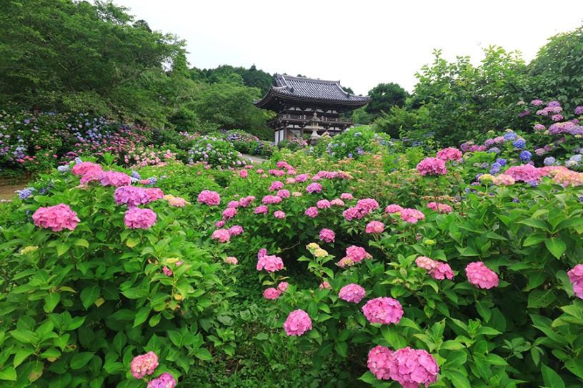 華観音寺