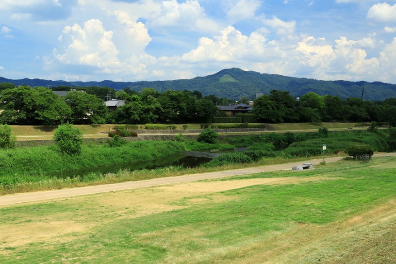 出雲路橋北側の河川敷