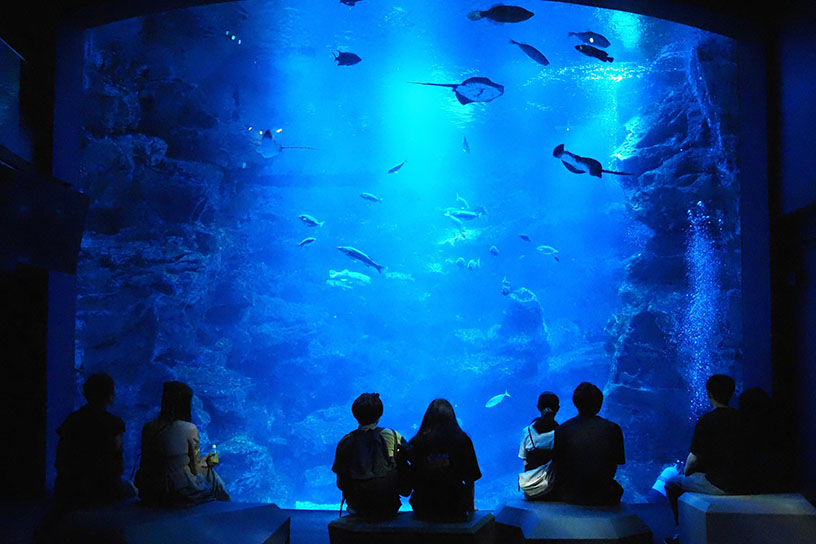 「京の海」エリア。海の中にある岩をモチーフにしたソファに座って眺めることができます