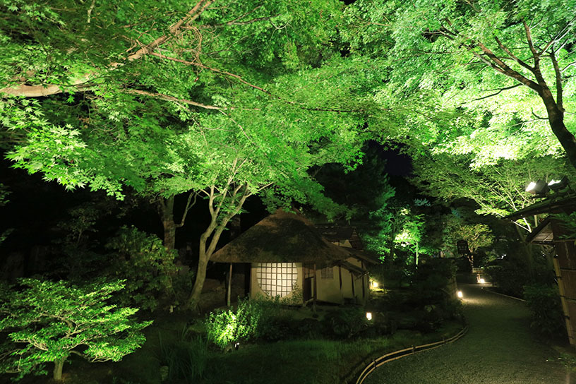 夜間特別拝観の様子