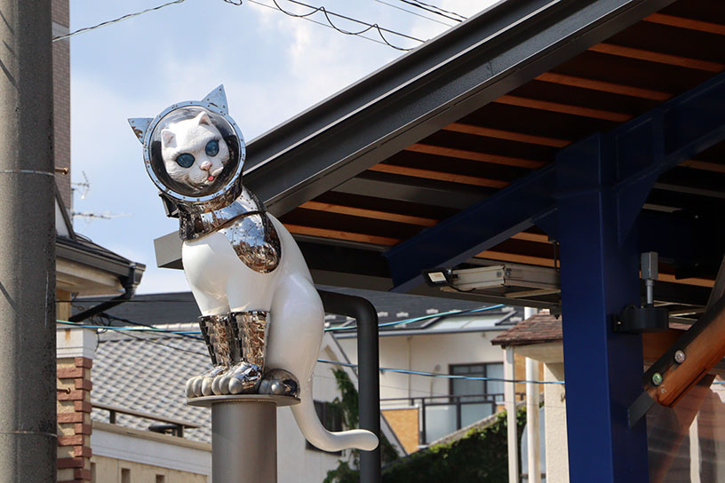 SHIP’S CAT (Tower)