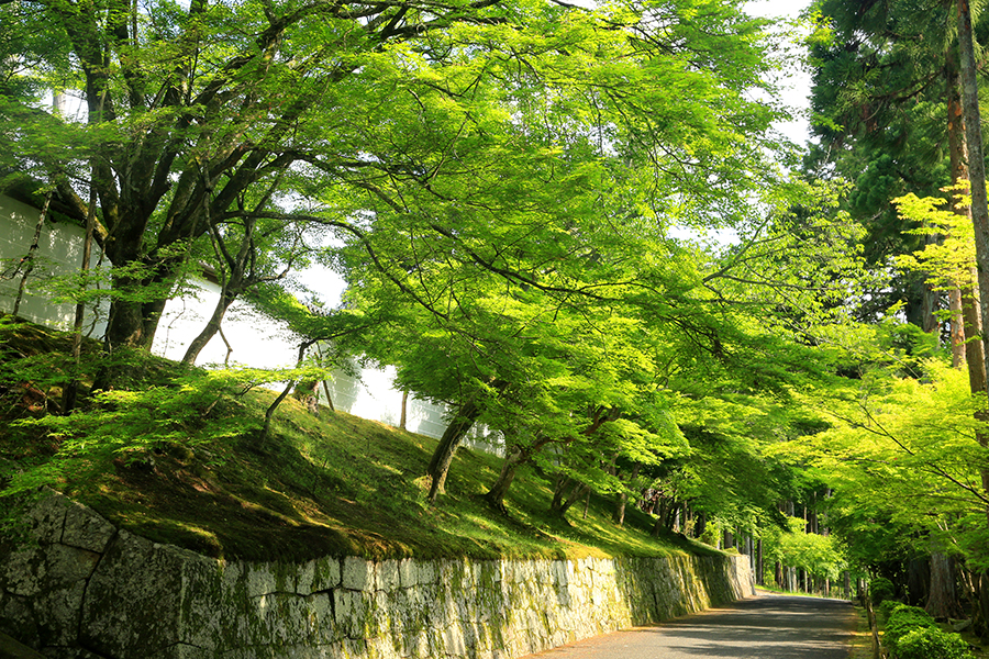 参道