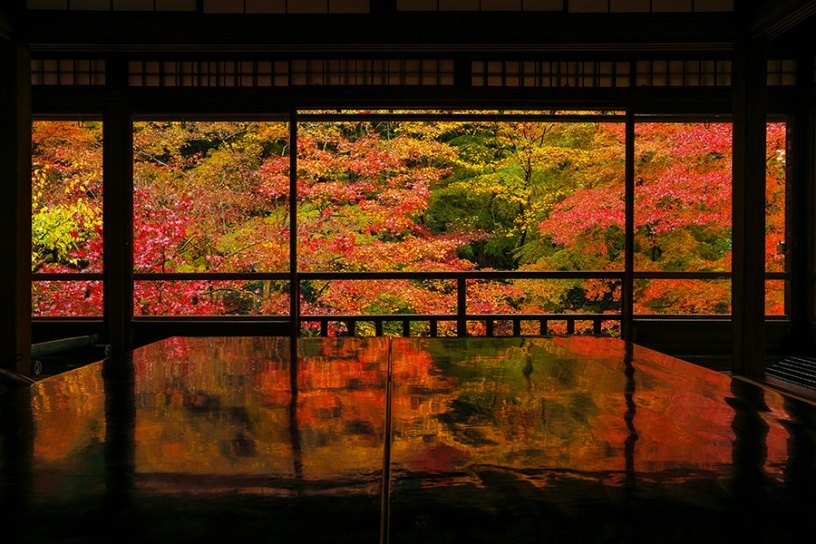 紅葉のリフレクション