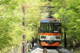 そうだ 京都、行こう。 | 京都への旅行、観光スポットで京都遊び