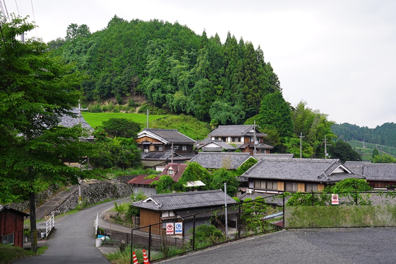茶畑も見られる正寿院の周辺風景