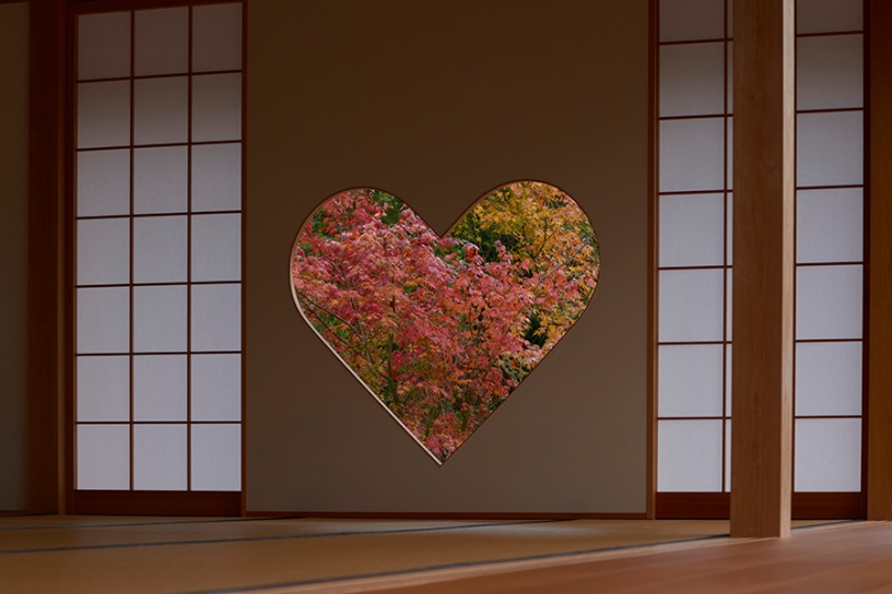 紅葉の見頃は例年11月中旬から下旬