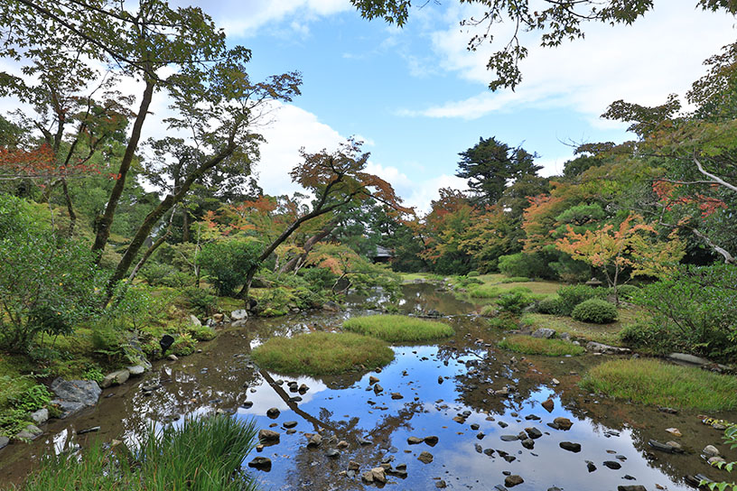 浅い池は解放感を生む効果があるそうです