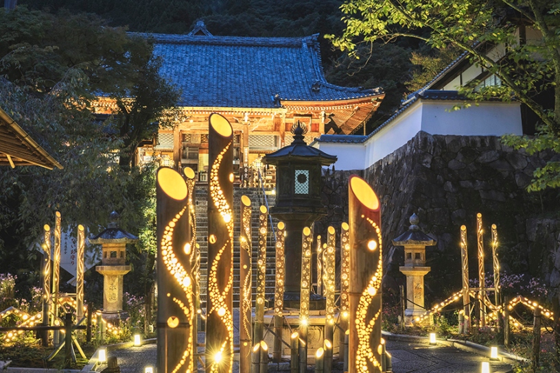 善峯寺 ※昨年（2024年）の模様です