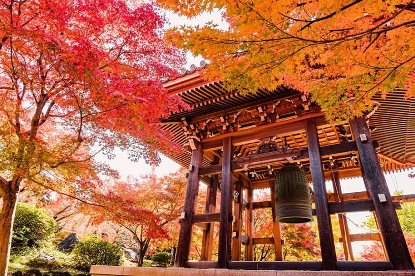 智積院 ※日中のイメージ