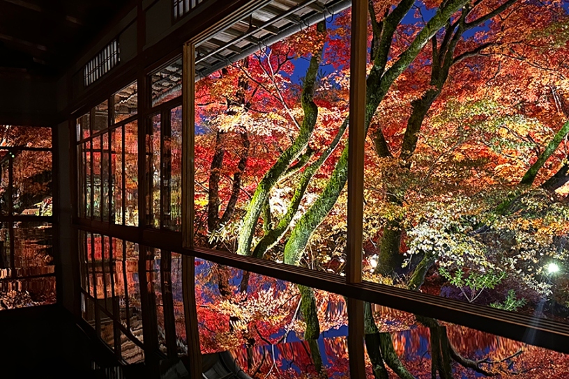 書院（宝厳院 夜間特別拝観先行入場プラン限定）