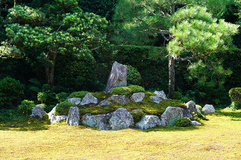 亀島。左が頭にあたります