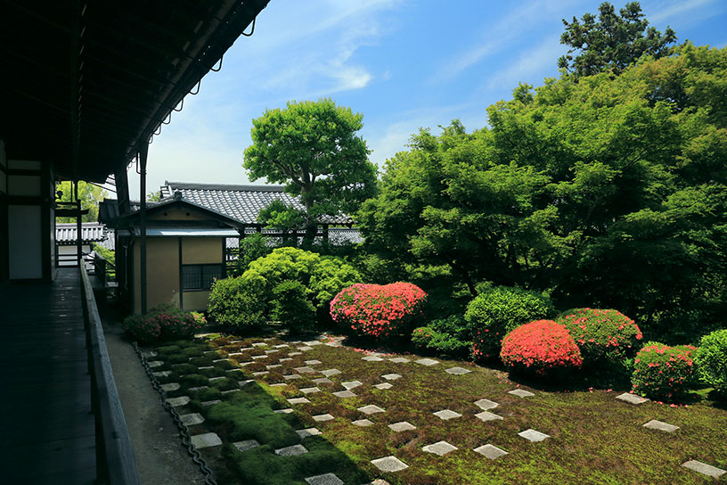 本坊庭園 北庭。もしかしたら、今もどこかに芬陀院のサツキが…！（サツキの開花は例年5月頃）