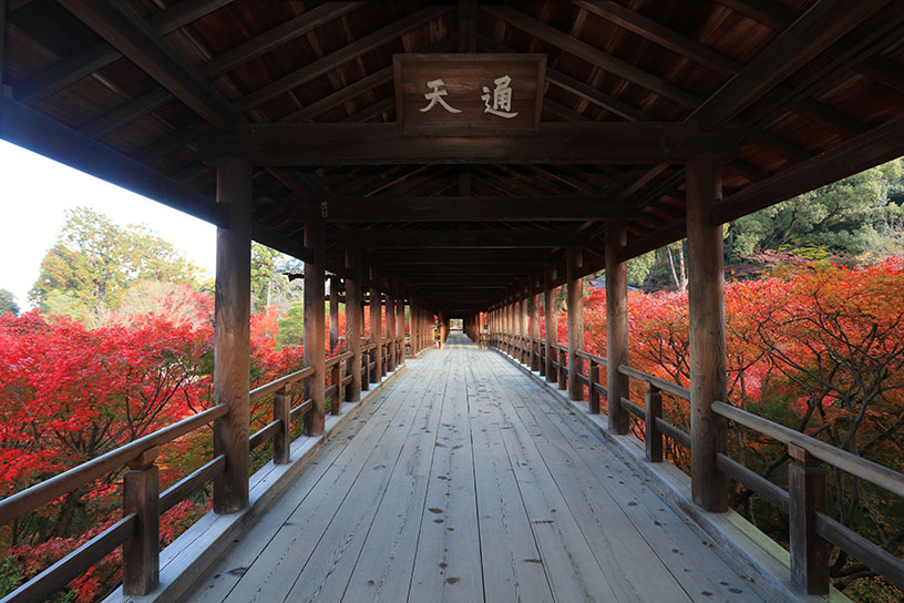 紅葉に包まれる通天橋