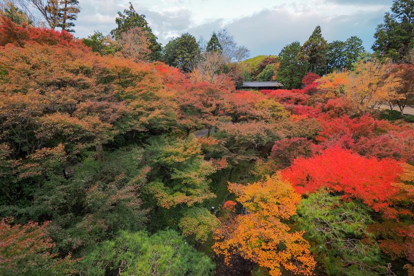 紅葉のグラデーションも美しい洗玉澗