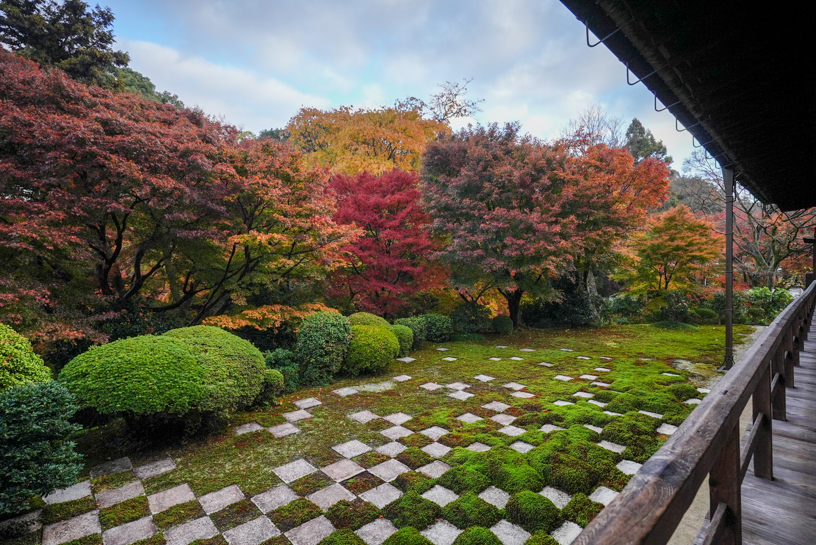 紅葉シーズンの本坊北庭