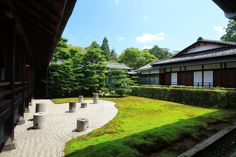 東庭