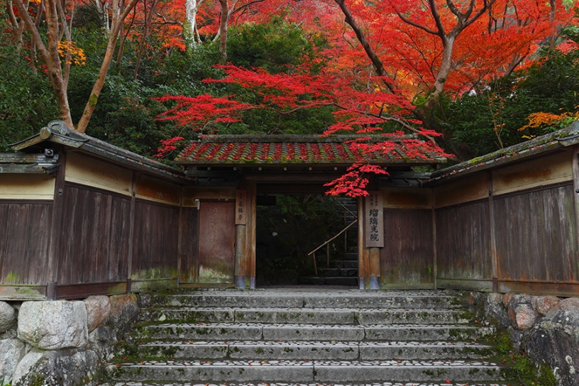 11月下旬の紅葉イメージ