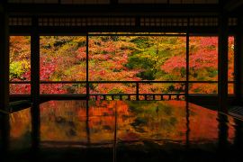油絵・風景画　京都　瑠璃光院　紅葉 瑠璃光院の紅葉(京都府) ｜紅葉名所2025