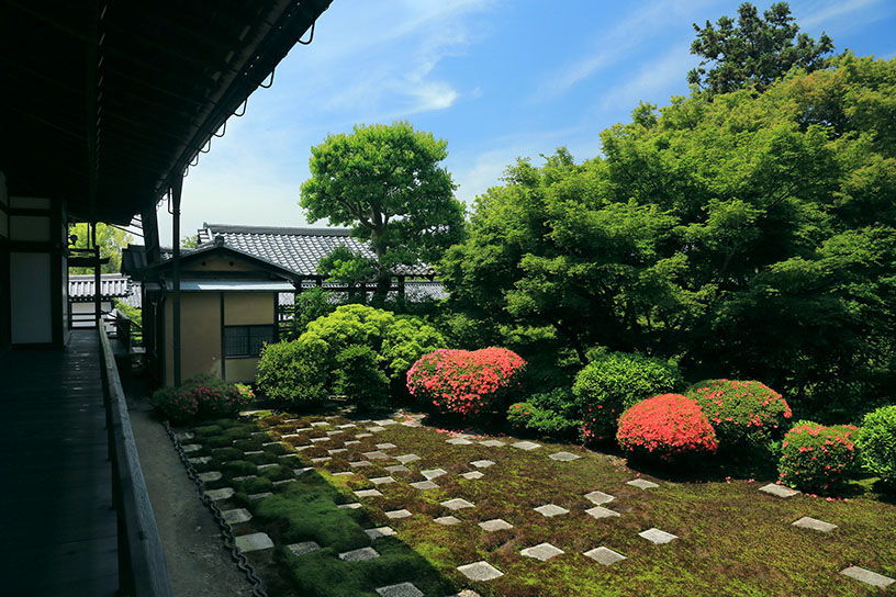 北庭にサツキが咲くと、ピンクのハートが出現します