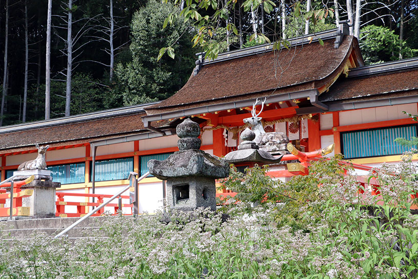 本殿に近づくと…