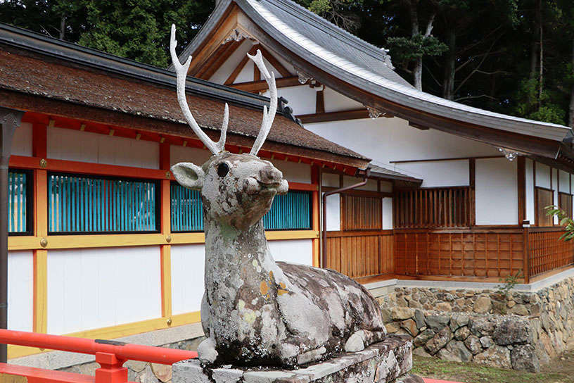 狛犬ならぬ“狛鹿”！