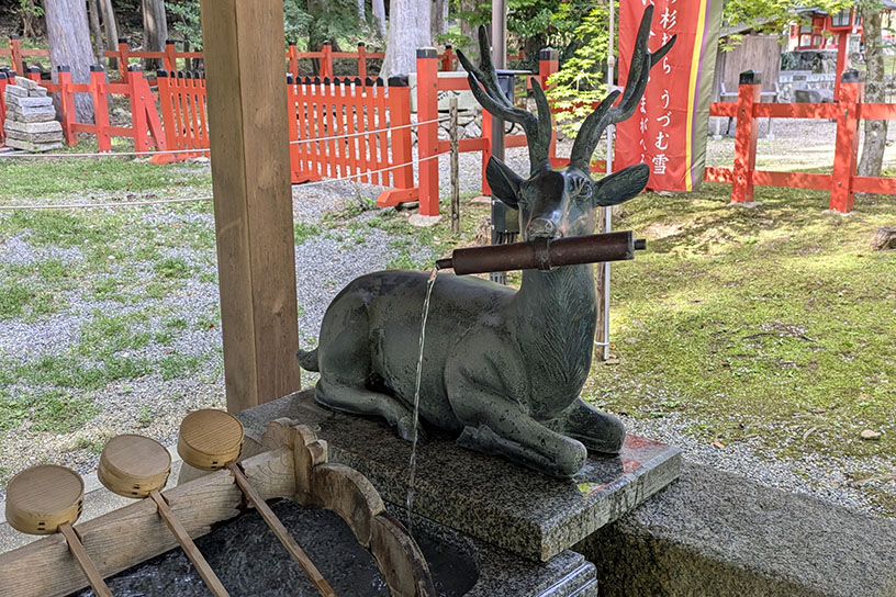 手水舎にも鹿がいます