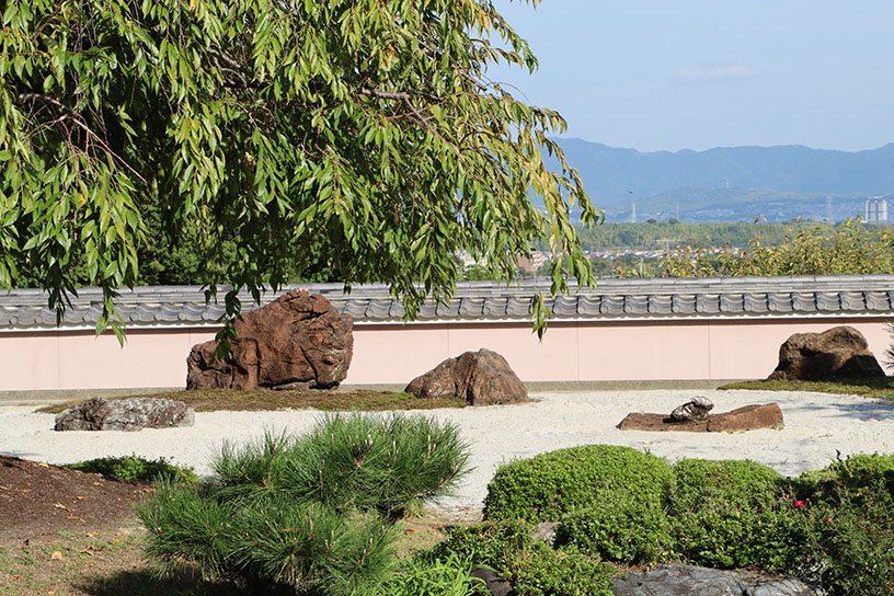 あの石は何に見えますか？
