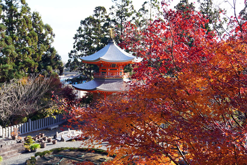 紅葉のイメージ