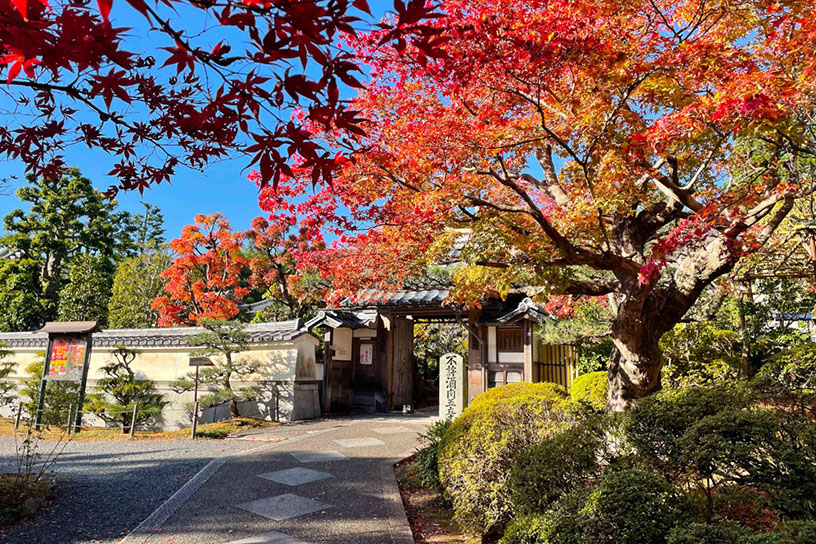 紅葉のイメージ