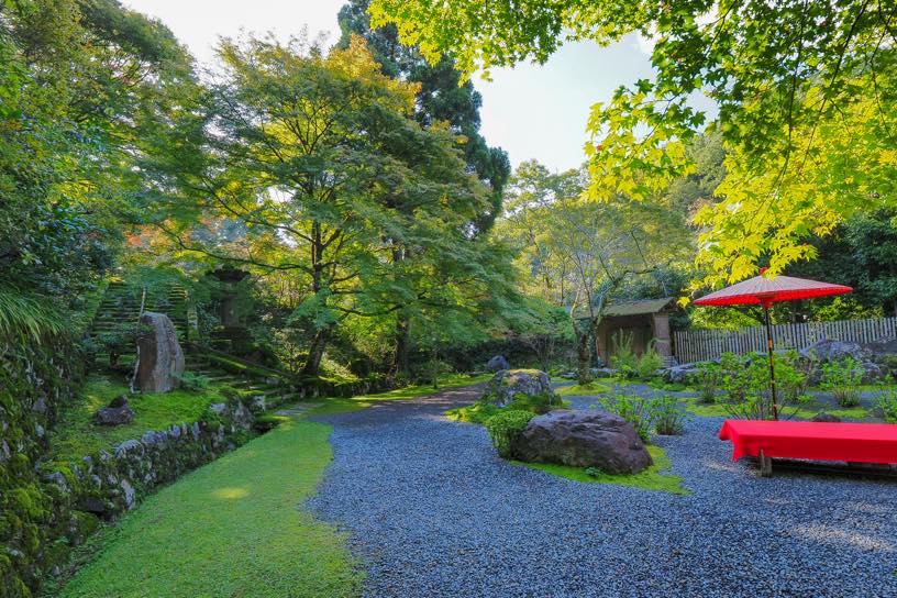 白龍園（撮影日：2025年10月27日）