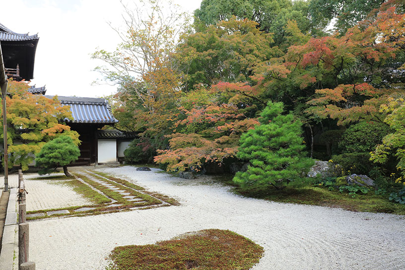 南禅寺 天授庵（撮影日：2025年10月28日）