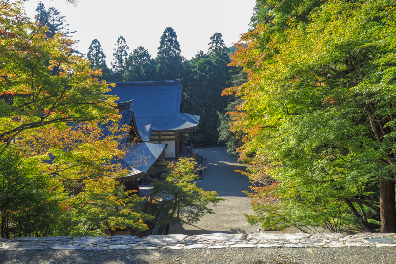 神護寺（撮影日：2025年10月29日）