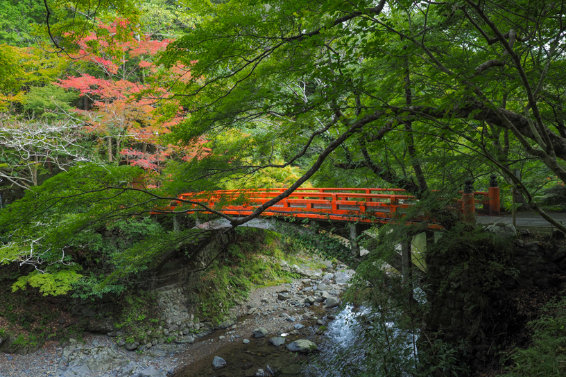 西明寺（撮影日：2025年10月29日）