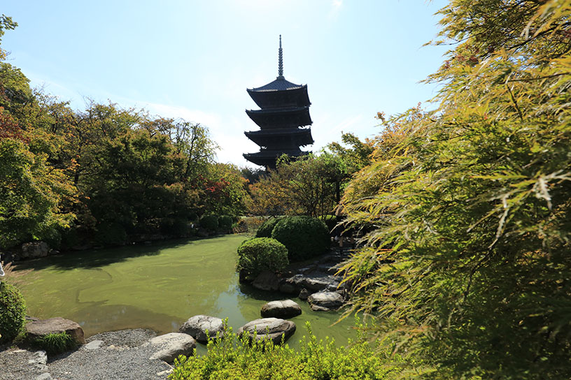 東寺（撮影日：2025年10月29日）