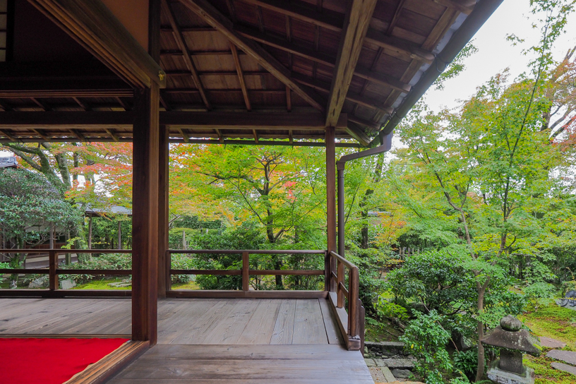 妙心寺 大法院（撮影日：2025年11月1日）