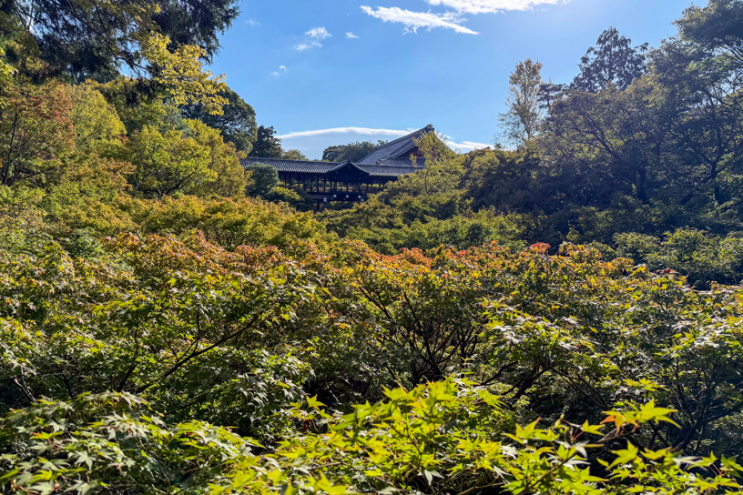 東福寺（撮影日：2025年10月28日）