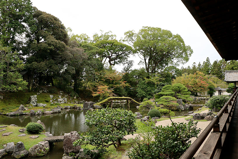 純浄観からの眺め