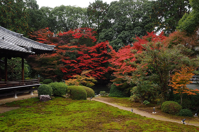 庭園（紅葉のイメージ）