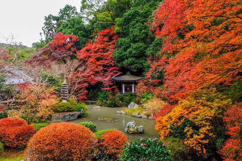 晩翠園（紅葉のイメージ）