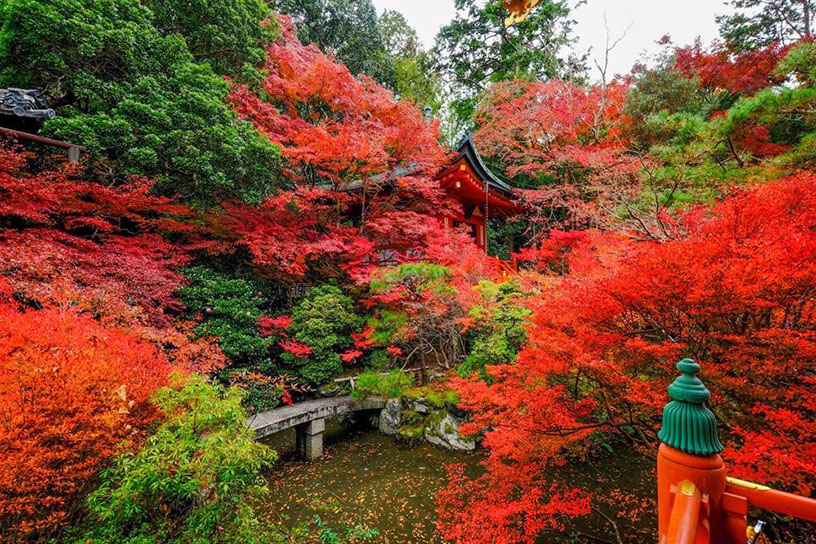 弁天堂（紅葉のイメージ）