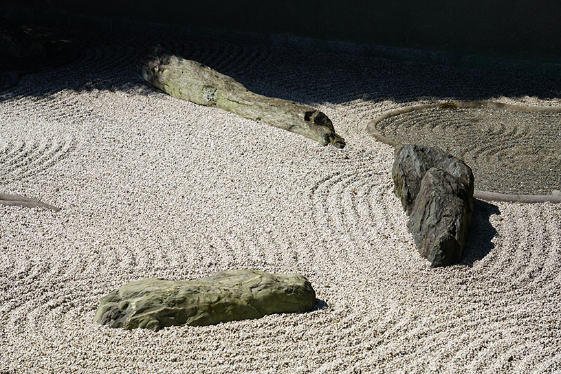 石の表情や向きを考慮して、龍の体のラインを巧みに形作っています