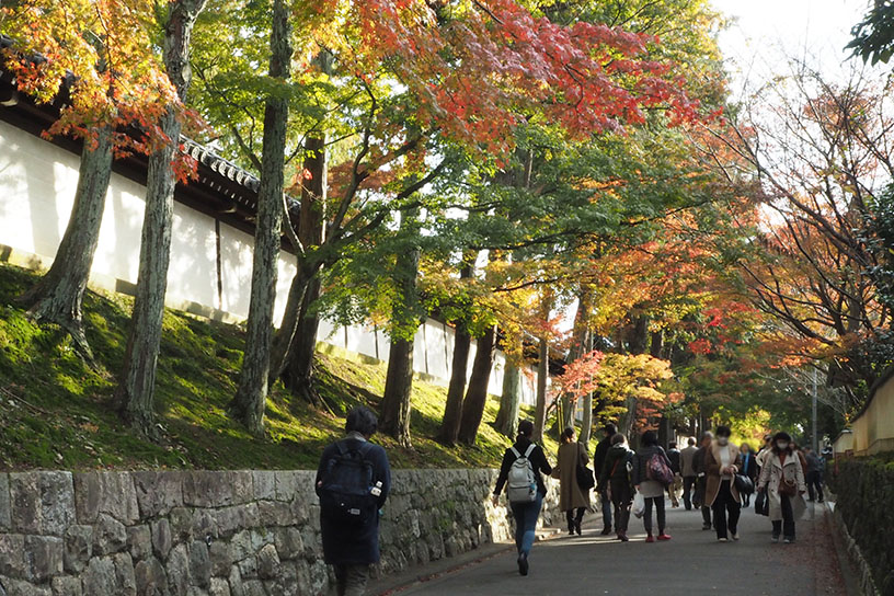 紅葉シーズンの東福寺周辺