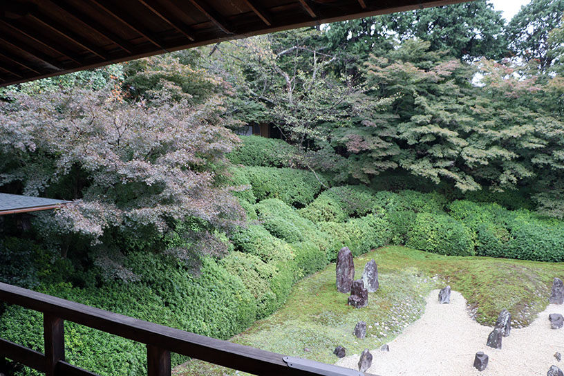 書院2階から眺める波心庭。見頃の時季が楽しみですね