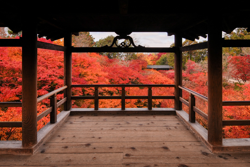 通天橋からの眺め（見頃のイメージ）