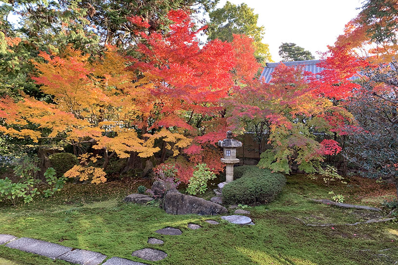 本堂前庭（見頃のイメージ）