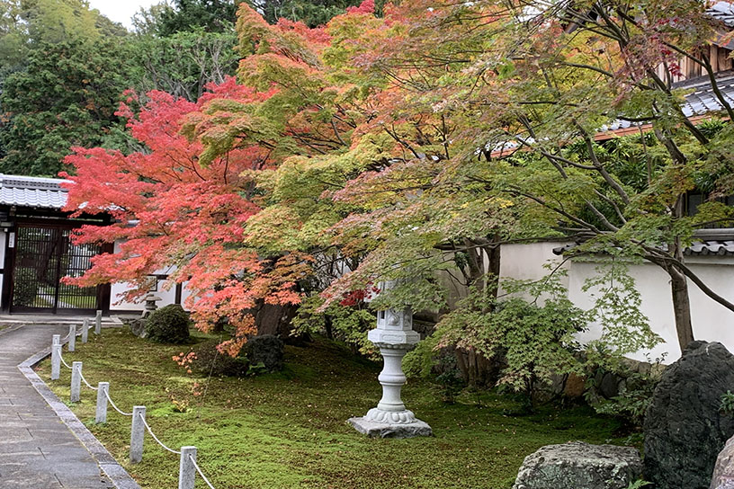 参道の紅葉も美しい（見頃のイメージ）