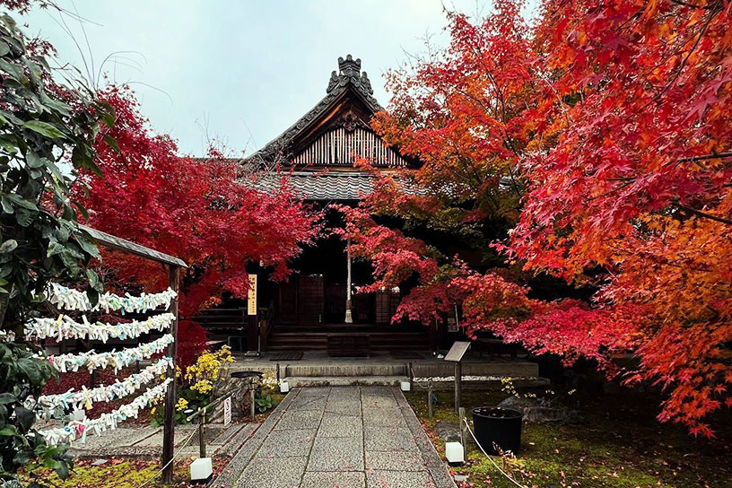 本堂（見頃のイメージ）